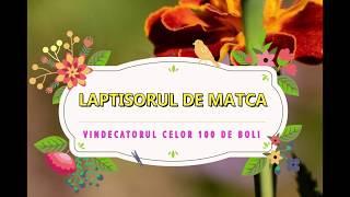 Laptisor de matca | Alimentele voastre sa fie medicamente | Royal jelly benefits backed by science