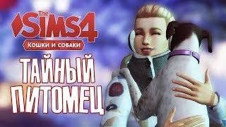 [TS4] Тайный питомец #6 | Объявление | THE SIMS 4 КОШКИ И СОБАКИ