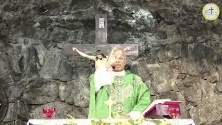 Sunday Morning Holy Rosary & Holy Mass   - 13/10/2024