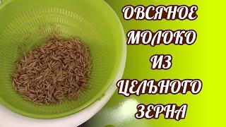 МОЛОКО ИЗ ЦЕЛЬНОГО ОВСА. ПОШАГОВАЯ ИНСТРУКЦИЯ. А ТАКЖЕ РЕШАЕМ ПРОБЛЕМУ НЕ ОЧЕНЬ МОЩНОГО БЛЕНДЕРА!