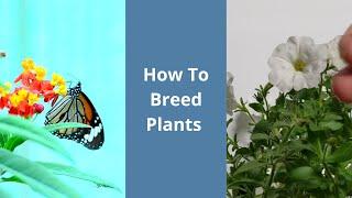 How To Breed Plants (Basics)