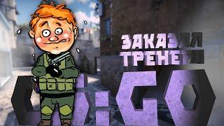 Заказал тренера по CS:GO.