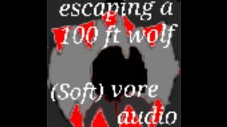 Escaping 100 ft wolf [Vore Audio] (Soft)