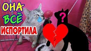 НЕУДАЧНОЕ ПЕРВОЕ СВИДАНИЕ СЛАДУНА! КИСА МИЛКА ВСЕ ИСПОРТИЛА!!!