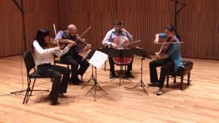 Enso String Quartet plays Pierre Jalbert "Icefield Sonnets; III. North is a Notion"