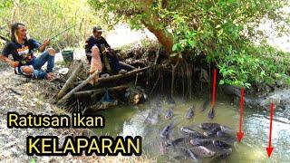 Pemancing mana yg gak TERGODA!!! Mancing sambil MEREM bisa dapat ikan di sungai ini