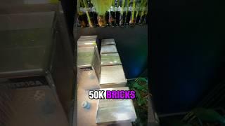 $50,000 CAPACITY BLOWOUT BRICKS!