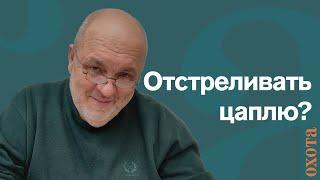 Отстрел цапель. Валерий Кузенков об отстреле цапель в Беларуси.