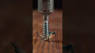 This Is The Most Satisfying Screw in the World