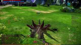  First Look - Tera Online Gameplay