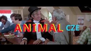 ANIMAL in Cz | Jean-Paul Belmondo | Best French Comedy, Romance | Zvíře 1977 | komedie, celý  film