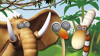 Gazoon | The Snake Charming  Animated Jungle Stories | Funny Animal Cartoon For Kids