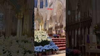 #pope#papa#fy#francesco#francis#prayer#peace#amen#lord#jesus#fyp#stpatrick#mass#funeral#church#love