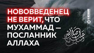 Нововведенец не верит, что Мухаммад ﷺ  — посланник Аллаха