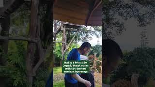 Hari ke 6 Privat SEO Organik. Masuk materi audit SEO dan cara membuat laporannya