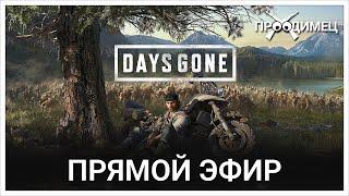 В поисках ОРДЫ | Days Gone | Стрим 7