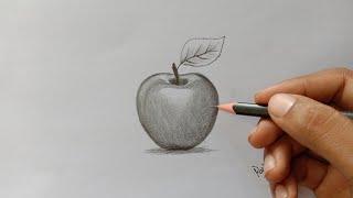 How to draw a realistic apple by pencil for beginners | Blending and shading | Easy way of drawing