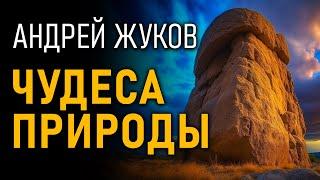 Чудеса природы со всего света. Андрей Жуков