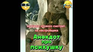Анекдот про психушку #анекдоты #приколы #юмор #котики #шутки #мемы #психушка