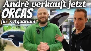 Seltene Fische entdecken & Pflanzen abholen – Ladentour bei André @AQUAddicted