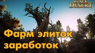 Black Desert (RU) - Фарм Элитных мобов 60 уровня