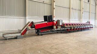 Aweta GM 3 12+1 pepper sorting machine.