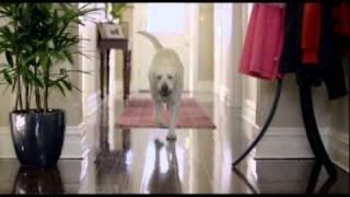 Cottonelle Kleenex Toilet Paper 2010 Ad