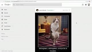 Automated moderation in Google Plus