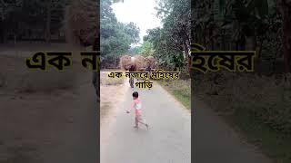 আমার গরুর গাড়িতে বউ সাজিয়ে #biplob #1million #viralvideo #reels #entertainment #bangladesh #2023