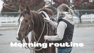 Morning Routine On My Mini Farm! Riding My New Colt! || Camo Cowgirl