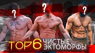 ТОП 6 | Фитнес-Блогеры Чистые Эктоморфы! (Характеристики Эктоморфа)