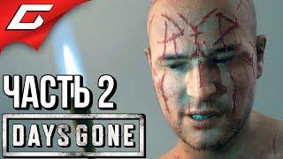 DAYS GONE (Жизнь После)  Прохождение #2  УПОКОИТЕЛИ