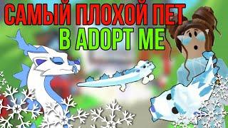 САМЫЙ ОТСТОЙНЫЙ ПЕТ в АДОПТ МИ! | ЧТО ДАЮТ за НОВОГО ФРОСТ ДРАКОНА FROST FURY в Adopt Me РОБЛОКС