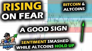 CRYPTO BOUNCES on FEAR, Bitcoin Price Chart Enters Chop Zone, Altcoin Market Holding Up