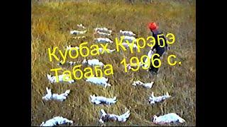 Видео из архива. Коллективная охота на зайца (Курэх), Табага 1996 год.