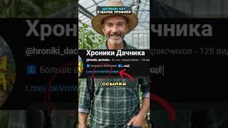 Как быстро избавиться от муравьёв и тли без химии? #огород #сад #дача #тля #вредители