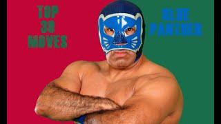 Top 29 moves of Blue panther