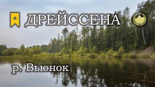  р. Вьюнок  Дрейссена речная  Русская рыбалка 4 