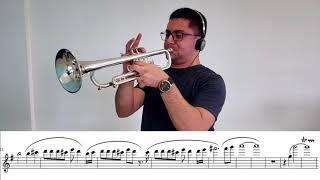 Maynard Ferguson -- MacArthur Park - Daniel Leal Trumpet