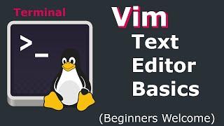 Vim Text Editor Basics - How to Use Vim on Linux / Mac / Unix (Beginners Guide on Ubuntu 20.04)