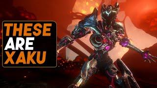 Warframe: The Void Master Xaku - 5 Forma build