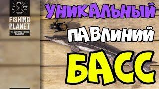 Fishing Planet прохождение | Уникальный Павлиний Басс | Флорида, Эверглейдс