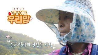 마냥 이쁜 우리맘 64회 풀영상 [은자엄마의 안녕은 아직] 이은자