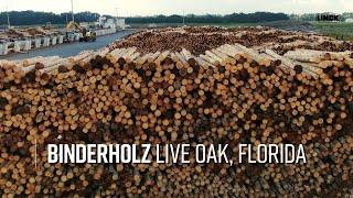 Binderholz - Live Oak, Florida