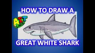 How to Draw a GREAT WHITE SHARK!!!