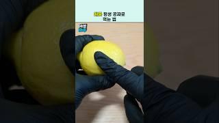 레몬 돈주고 사는 흑우읍제?