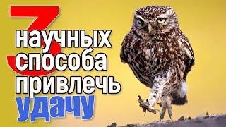 3 НАУЧНЫХ способа привлечь удачу...