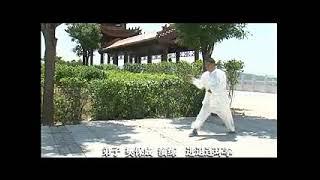 Shanxi Baicheng Che style xingyiquan