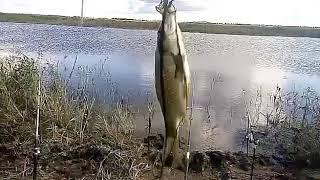 Рыбалка на речке Камышловка Омская область Siberian fishing