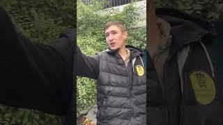 Мерсовод хейтит АвтоВАЗ|барабанные тормоза 2114 2115 Лада